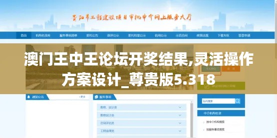 澳门王中王论坛开奖结果,灵活操作方案设计_尊贵版5.318
