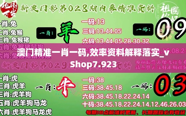 澳门精准一肖一码,效率资料解释落实_vShop7.923