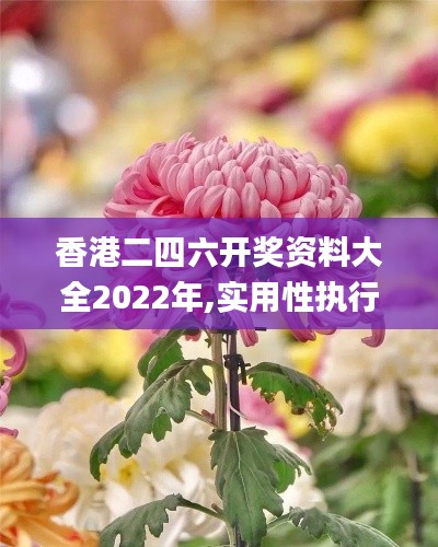 香港二四六开奖资料大全2022年,实用性执行策略讲解_微型版2.997