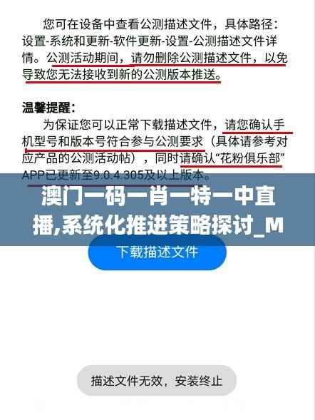 澳门一码一肖一特一中直播,系统化推进策略探讨_MP8.688