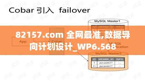 82157.com 全网最准,数据导向计划设计_WP6.568