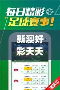 新澳好彩天天免费资料,迅捷处理问题解答_SP1.365