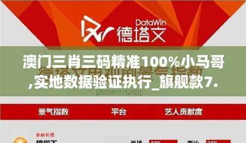 澳门三肖三码精准100%小马哥,实地数据验证执行_旗舰款7.591