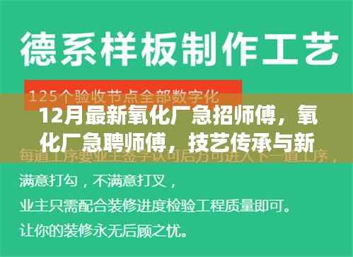 氧化厂急聘师傅,技艺传承与新时代工业发展的呼唤之岗位空缺