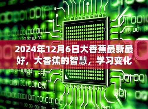 大香蕉的智慧之旅,自信与成就感的蜕变(2024年最新更新)