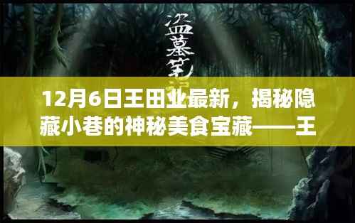 12月6日王田业最新，揭秘隐藏小巷的神秘美食宝藏——王田业最新特色小店探秘之旅