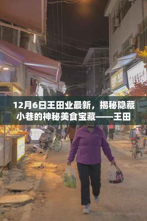 12月6日王田业最新,揭秘隐藏小巷的神秘美食宝藏——王田业最新特色小店探秘之旅