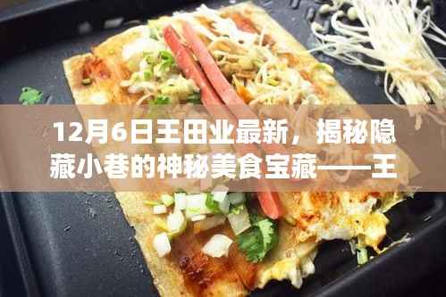 12月6日王田业最新,揭秘隐藏小巷的神秘美食宝藏——王田业最新特色小店探秘之旅
