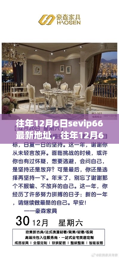往年12月6日Sevip66新起点,学习变化,自信启航之旅