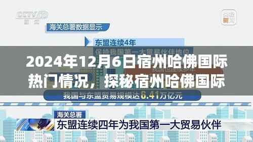 探秘宿州哈佛国际的独特风情与美食宝藏，2024年12月6日热门情况揭秘