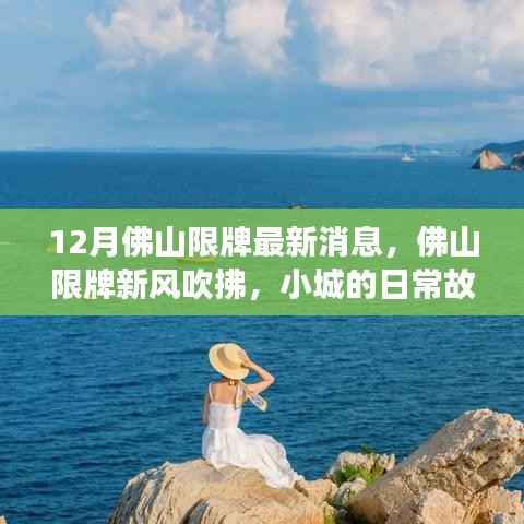 12月佛山限牌最新消息,佛山限牌新风吹拂,小城的日常故事继续温馨上演