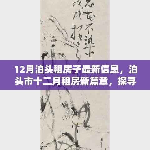 泊头市租房最新动态,十二月租房新篇章及影响探寻