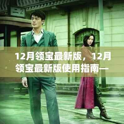 12月领宝最新版使用指南,零基础详细步骤助你轻松完成任务