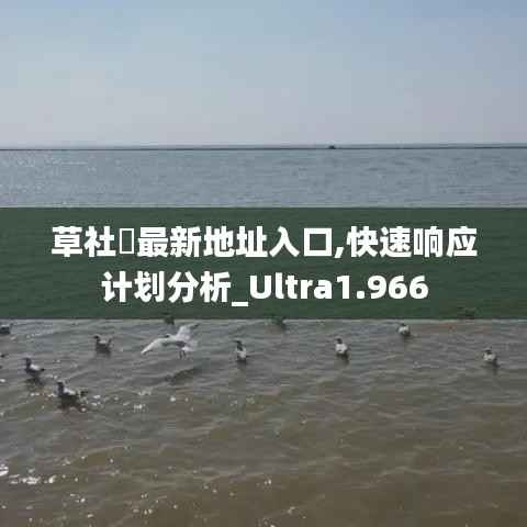 草社區最新地址入口,快速响应计划分析_Ultra1.966