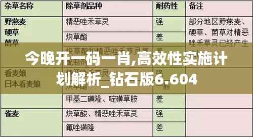 今晚开一码一肖,高效性实施计划解析_钻石版6.604