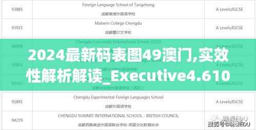 2024最新码表图49澳门,实效性解析解读_Executive4.610