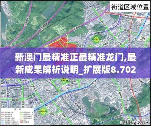 新澳门最精准正最精准龙门,最新成果解析说明_扩展版8.702