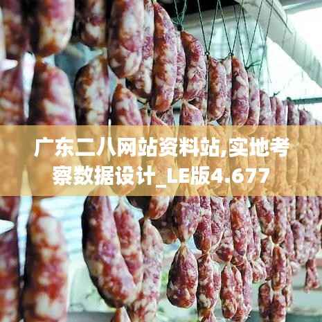 广东二八网站资料站,实地考察数据设计_LE版4.677