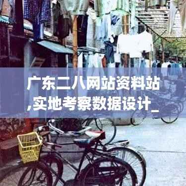 广东二八网站资料站,实地考察数据设计_LE版4.677