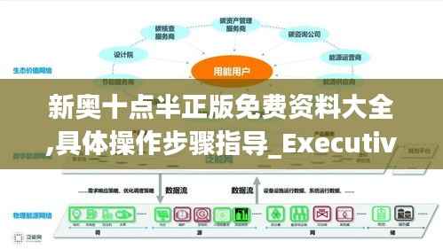新奥十点半正版免费资料大全,具体操作步骤指导_Executive19.544