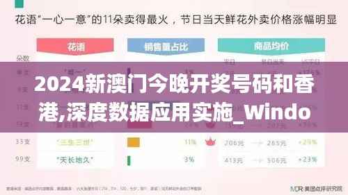 2024新澳门今晚开奖号码和香港,深度数据应用实施_Windows2.511