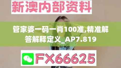 管家婆一码一肖100准,精准解答解释定义_AP7.819