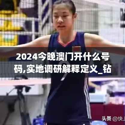 2024今晚澳门开什么号码,实地调研解释定义_钻石版15.409