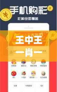 王中王一肖一特一中免费,持续设计解析_Galaxy1.305