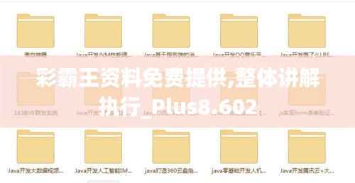 彩霸王资料免费提供,整体讲解执行_Plus8.602