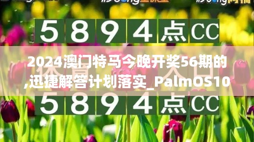 2024澳门特马今晚开奖56期的,迅捷解答计划落实_PalmOS10.943
