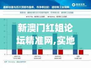 新澳门红姐论坛精准网,实地策略验证计划_轻量版7.685