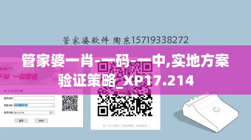 管家婆一肖-一码-一中,实地方案验证策略_XP17.214