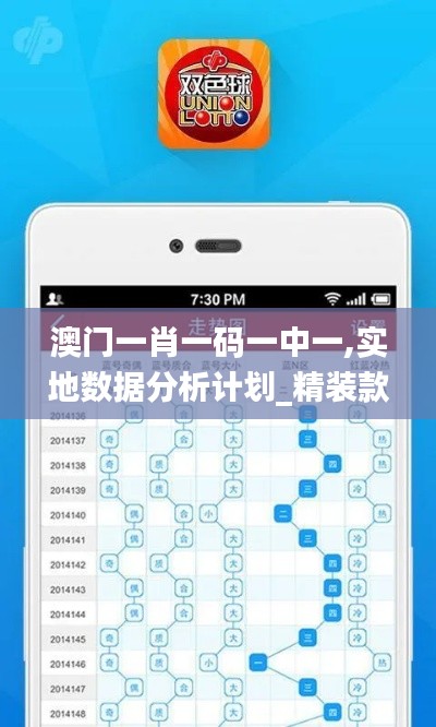 澳门一肖一码一中一,实地数据分析计划_精装款7.573