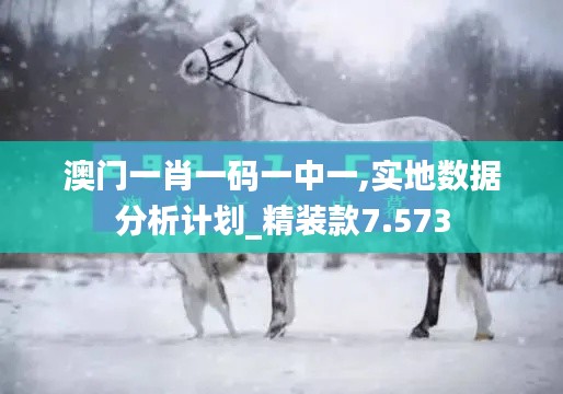 澳门一肖一码一中一,实地数据分析计划_精装款7.573