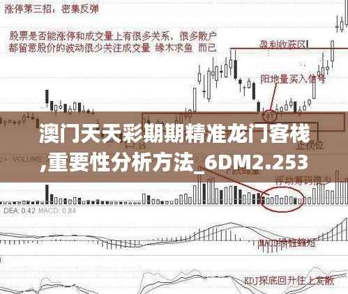 澳门天天彩期期精准龙门客栈,重要性分析方法_6DM2.253