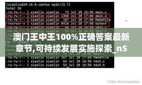 澳门王中王100%正确答案最新章节,可持续发展实施探索_nShop8.595