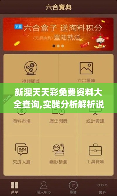 新澳天天彩免费资料大全查询,实践分析解析说明_U9.636