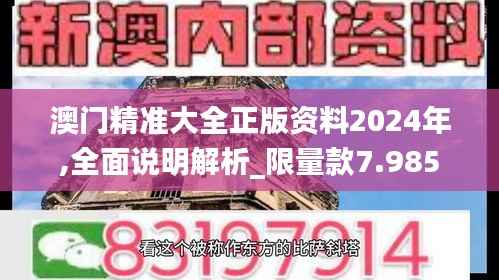 澳门精准大全正版资料2024年,全面说明解析_限量款7.985