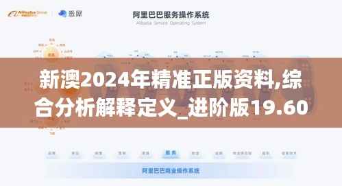 新澳2024年精准正版资料,综合分析解释定义_进阶版19.601
