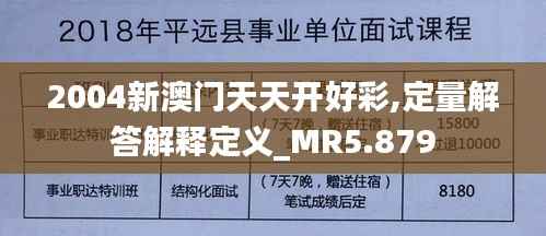 2004新澳门天天开好彩,定量解答解释定义_MR5.879