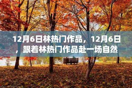 12月6日林热门作品，自然美景的心灵之旅