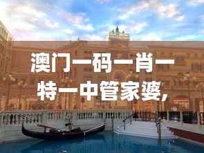 澳门一码一肖一特一中管家婆,实地解读说明_Phablet19.120