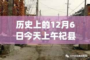 杞县大蒜收购价格揭秘,探寻蒜香传奇背后的故事,最新动态(12月6日)