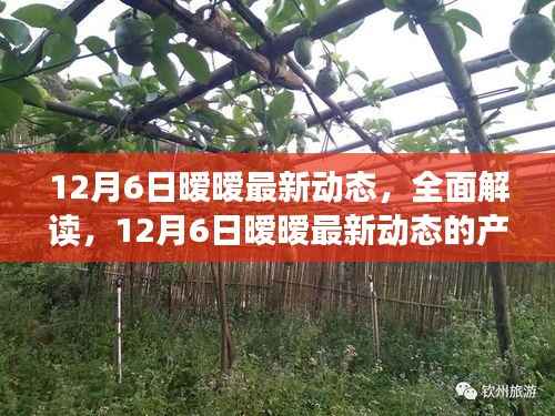 12月6日暧暧最新动态深度解析，产品特性与用户体验全面解读