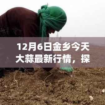 金乡大蒜最新行情揭秘,魔法之旅探索大蒜背后的宁静秘境与美景之旅