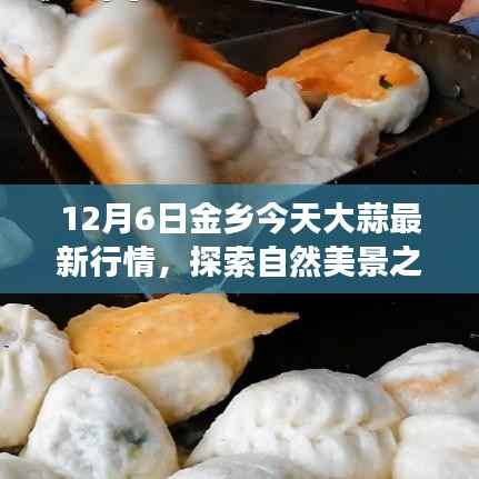 金乡大蒜最新行情揭秘,魔法之旅探索大蒜背后的宁静秘境与美景之旅