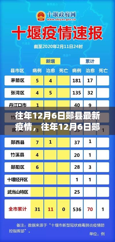 往年12月6日郧县疫情最新动态及分析