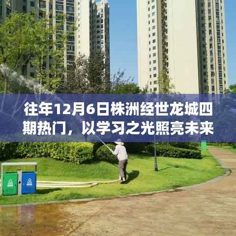 株洲经世龙城四期,照亮未来的学习之光与励志故事