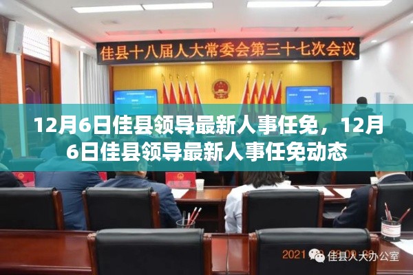 佳县领导人事任免动态更新,最新任免消息一览
