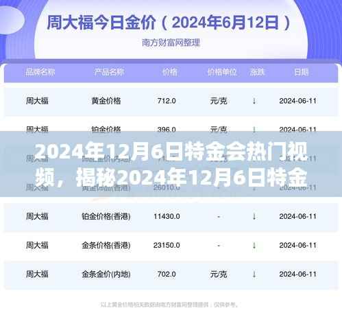 揭秘特金会热门视频，小红书带你探索背后的故事（日期标注）